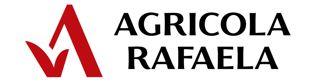 agricola_p2